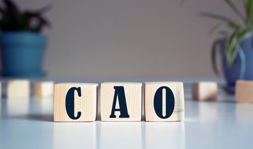 AVV voor cao-Afbouw